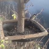 photo 2019-12-25 14-29-57