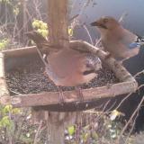 photo 2019-12-19 08-43-34