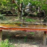 photo 2021-04-27 15-30-47