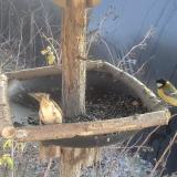 photo 2019-12-30 12-50-31