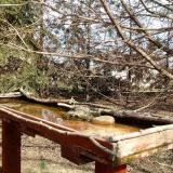 photo 2022-03-01 12-34-05