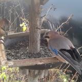 photo 2019-12-25 09-14-58