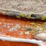 photo 2021-03-22 11-58-31 2