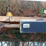 photo 2021-02-12 10-18-22