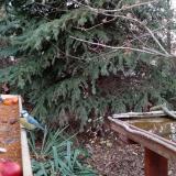 photo 2021-11-12 15-57-42