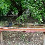 photo 2021-05-24 11-26-01