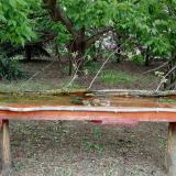 photo 2021-05-06 13-04-41