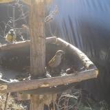 photo 2019-02-18 09-53-37