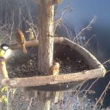 photo 2019-12-31 14-33-51