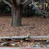 photo 2021-10-19 16-34-38 szencinegek