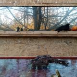 photo 2022-01-22 15-44-38