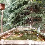 photo 2023-10-05 13-25-06