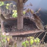 photo 2019-12-12 12-49-06