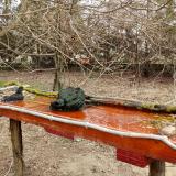 photo 2021-03-22 10-36-34