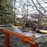 photo 2022-03-13 07-24-01