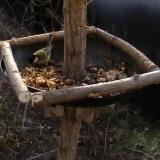 photo 2019-01-04 10-18-40