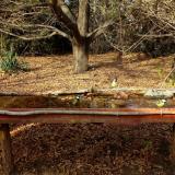 photo 2021-10-26 14-30-46