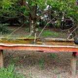 photo 2021-04-28 15-22-31