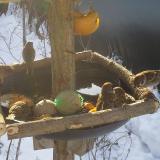 photo 2019-01-27 09-13-00