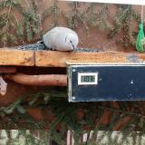 photo 2021-03-04 10-11-07