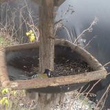 photo 2019-12-27 10-25-27