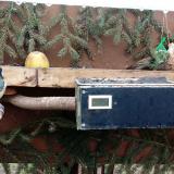 photo 2021-02-10 14-04-37