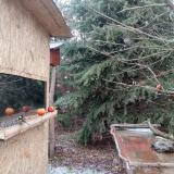 photo 2021-12-28 12-51-28