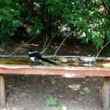 photo 2021-07-26 12-45-57