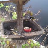 photo 2019-12-06 09-09-12