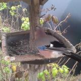 photo 2019-12-12 11-24-22