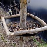 photo 2019-01-03 12-12-04