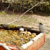 photo 2021-04-02 11-01-55baratposzata