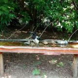 photo 2021-07-26 12-45-48