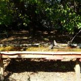 photo 2021-10-04 13-49-04