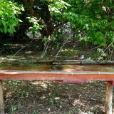 photo 2021-05-15 08-55-31