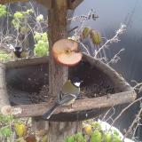 photo 2019-12-04 12-57-19