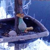 photo 2019-01-21 07-05-15