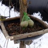 photo 2019-01-10 10-31-21