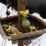 photo 2019-01-12 12-05-35