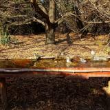 photo 2021-10-27 14-09-53