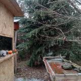 photo 2021-12-27 12-21-15