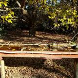 photo 2021-10-20 09-50-22