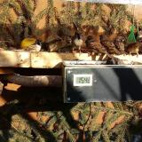 photo 2021-02-14 14-42-11