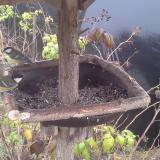 photo 2019-12-12 14-10-10