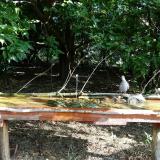 photo 2021-09-07 09-02-46