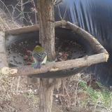 photo 2019-02-15 13-18-38