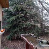 photo 2021-12-14 15-05-45