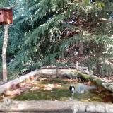 photo 2023-10-05 10-46-09