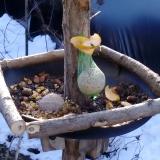 photo 2019-01-14 09-16-01