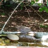 photo 2021-08-03 11-05-19 rigo